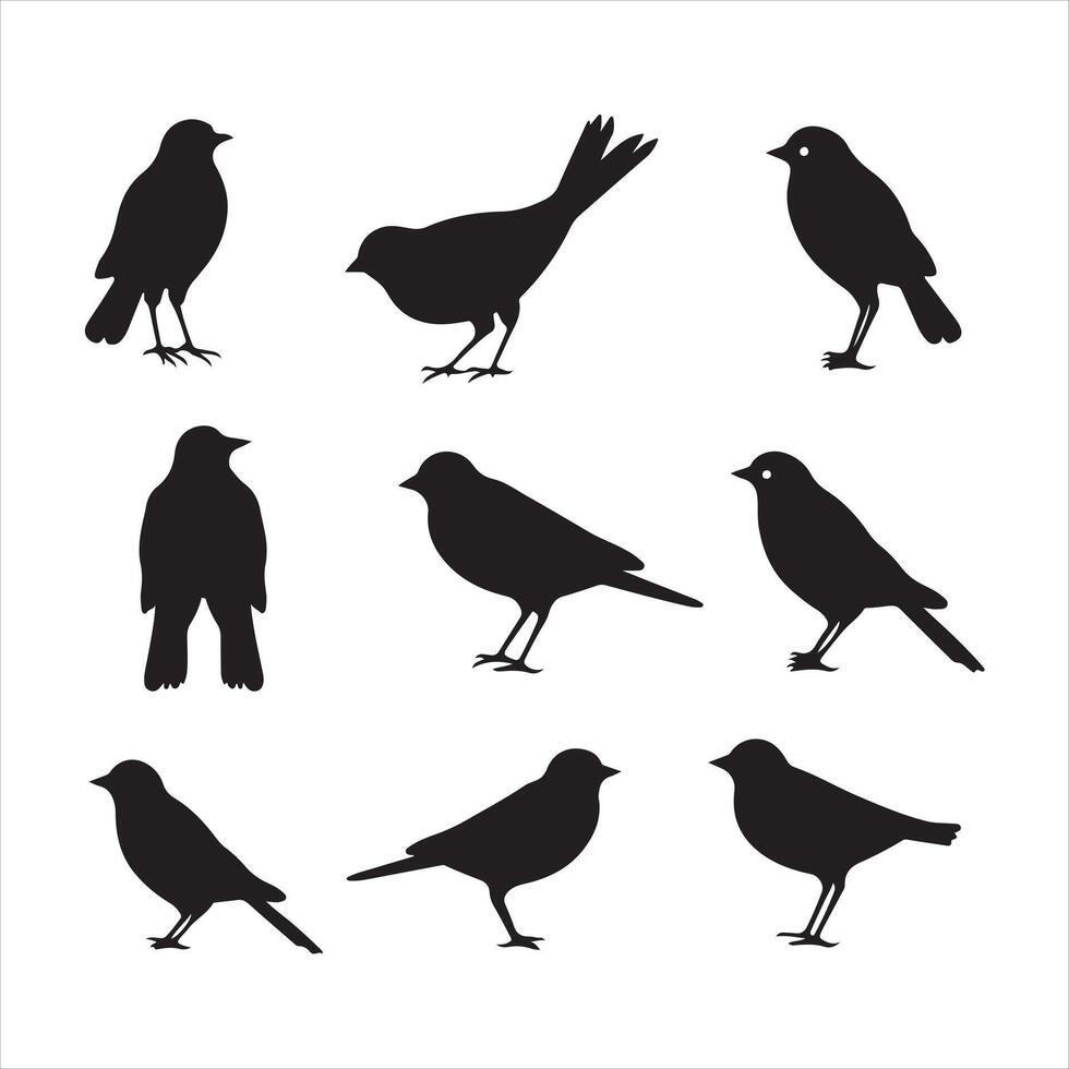 une noir silhouette geai oiseau ensemble vecteur