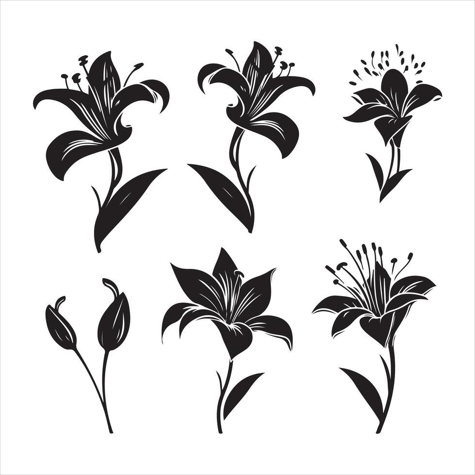 une noir silhouette lis fleur ensemble vecteur