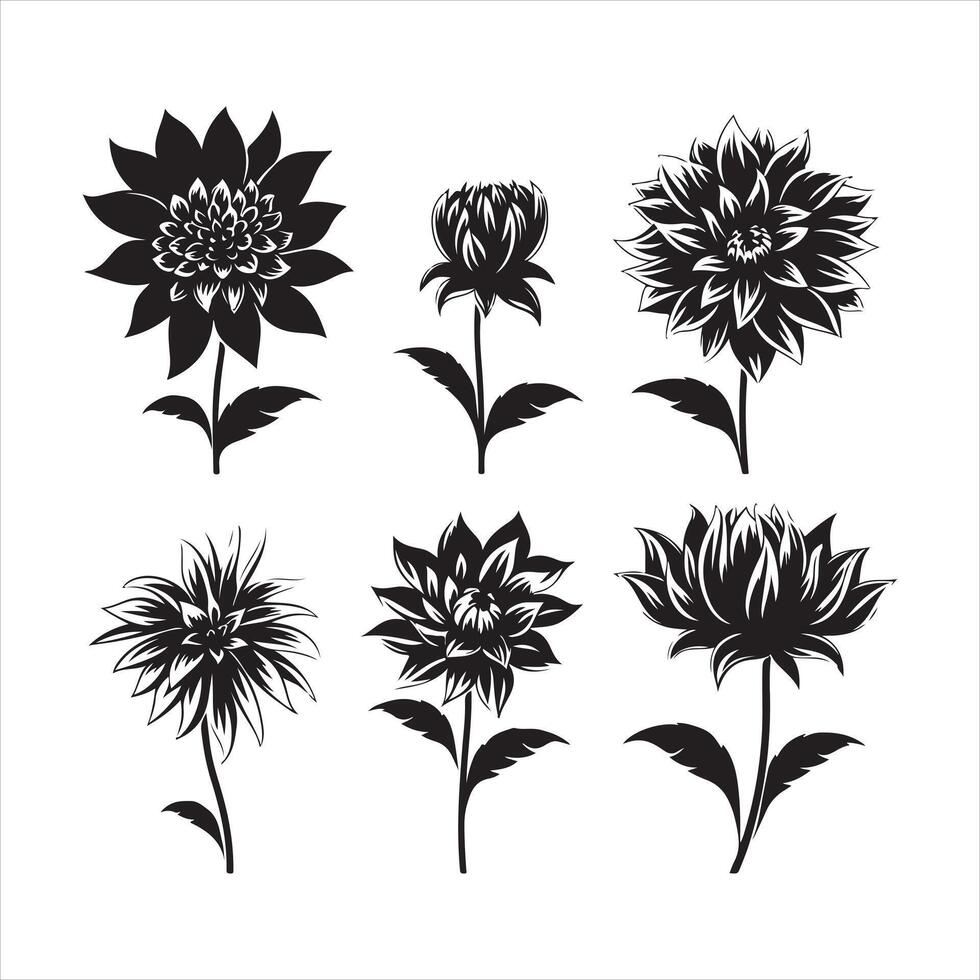 une noir silhouette dahlia fleur ensemble vecteur