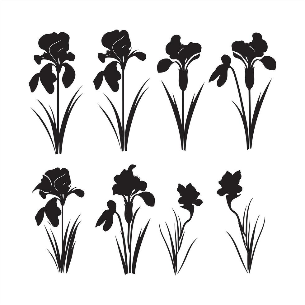 une noir silhouette iris fleur ensemble vecteur
