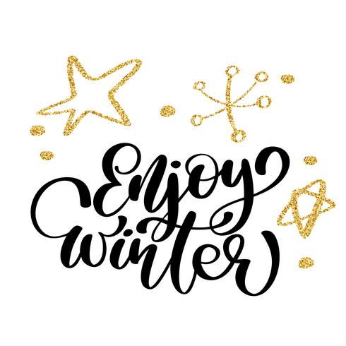 calligraphie profiter Winter Joyeux Noël carte avec. Modèle pour les salutations, félicitations, affiches de pendaison de crémaillère, invitations, superpositions de photos. Illustration vectorielle vecteur