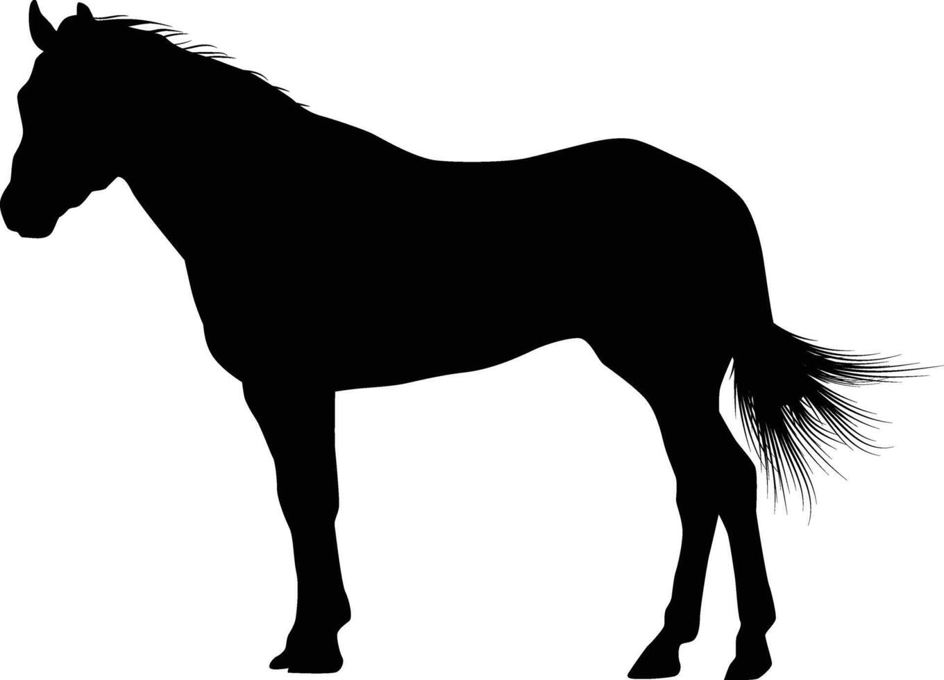 cheval silhouette illustration dans vecteur