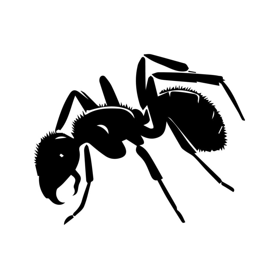 illustration avec fourmi silhouettes isolé sur blanc Contexte vecteur