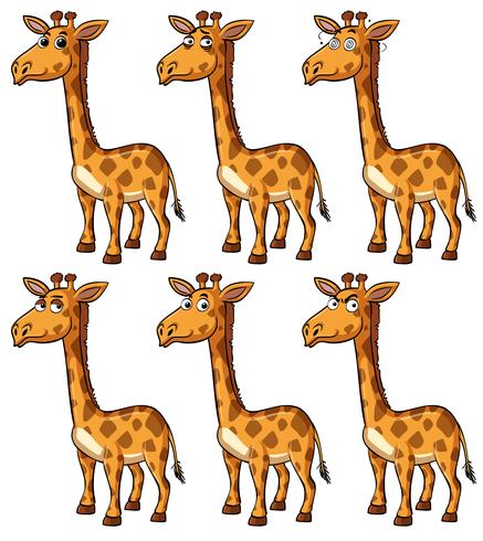 Girafe avec différentes émotions vecteur