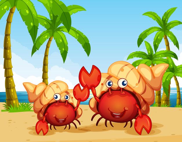 Deux crabes ermites sur la plage vecteur