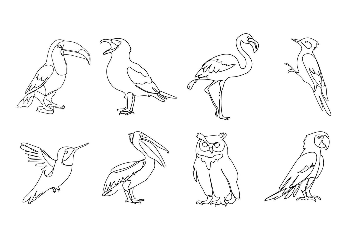 ensemble de différent des oiseaux, noir ligne dessin, toucan, mouette, hibou, hibou, perroquet, Pivert sur blanc Contexte vecteur