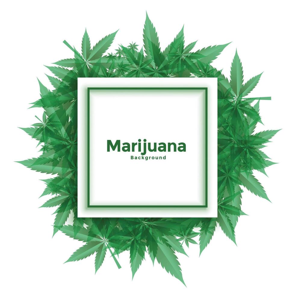 cannabis marijuana feuilles Cadre Contexte vecteur