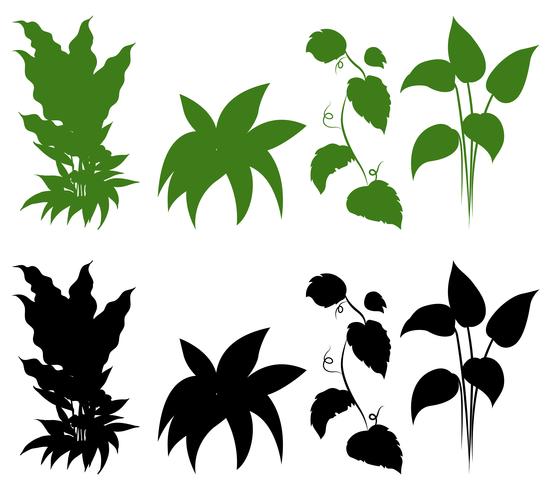 Ensemble de plantes de la silhouette vecteur