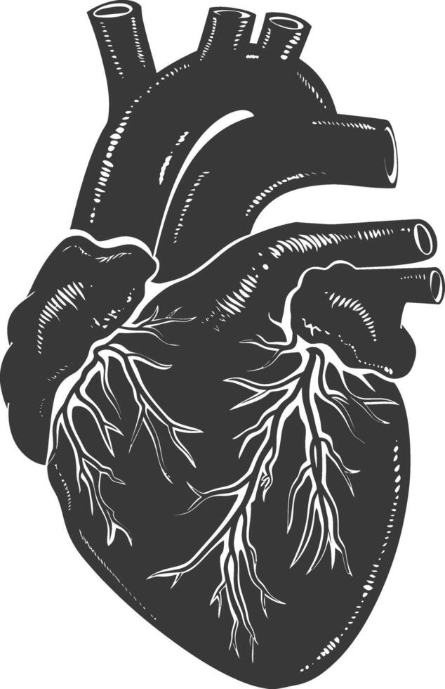 ai généré silhouette pour interne organes de cœur noir Couleur seulement vecteur