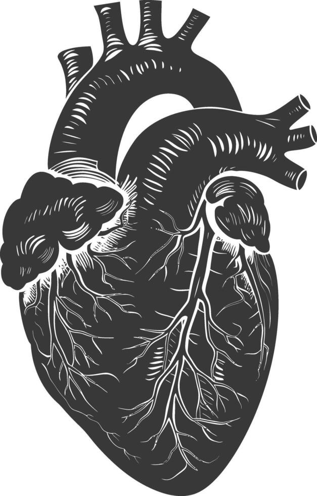 ai généré silhouette pour interne organes de cœur noir Couleur seulement vecteur