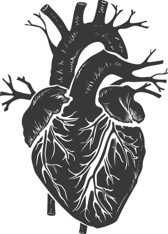 ai généré silhouette pour interne organes de cœur noir Couleur seulement vecteur