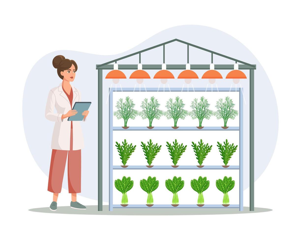 hydroponique La technologie pour croissance les plantes. scientifique ou biologiste à hydroponique cultiver. verticale agriculture. intelligent cultiver. illustration, vecteur