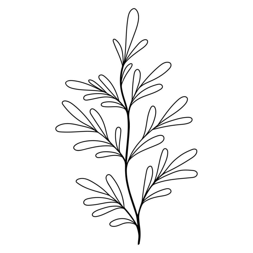 main esquissé floral conception élément. mariage logo. vecteur