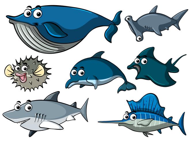 Différents types de requins vecteur