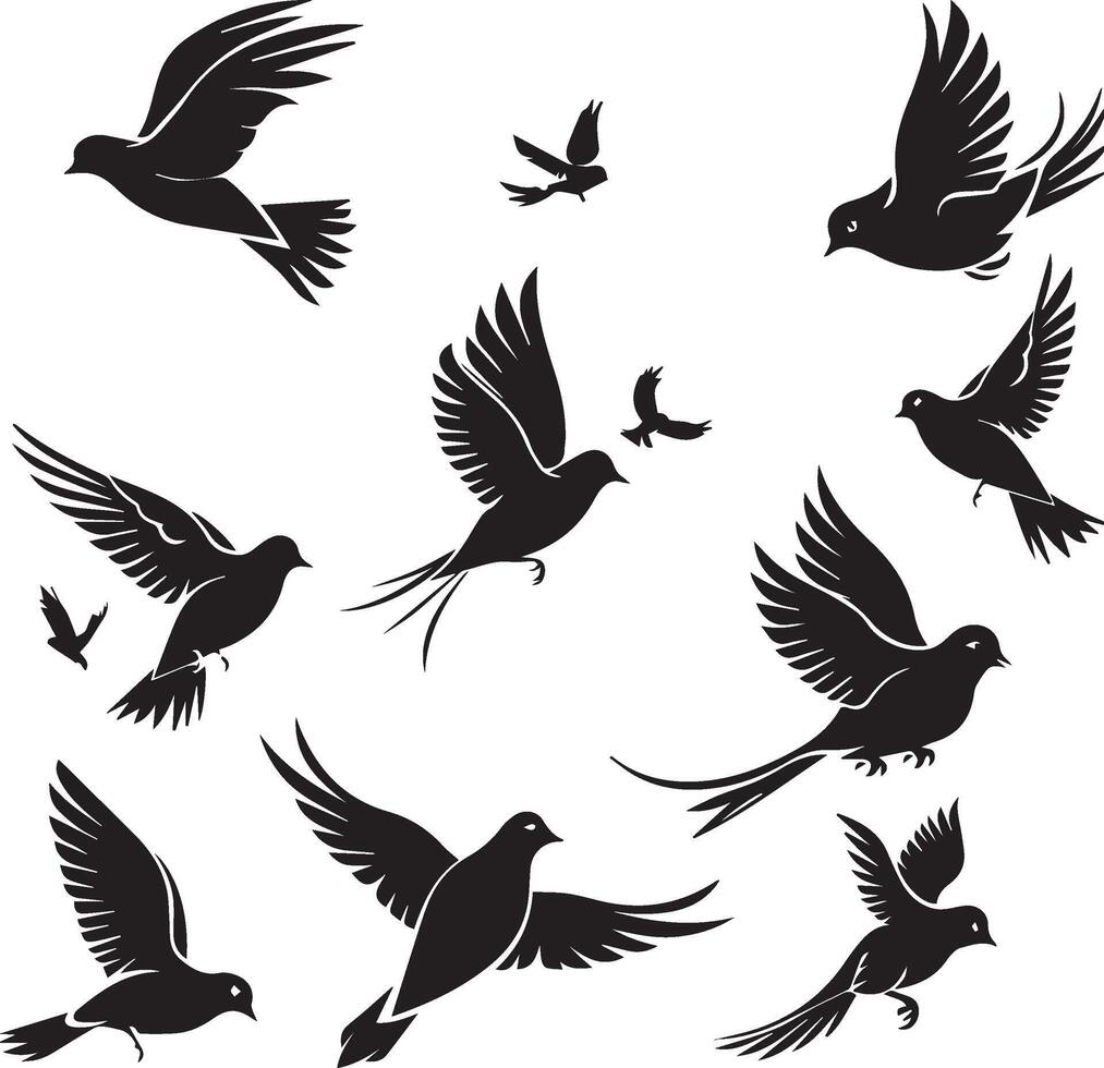 silhouettes d'oiseaux volants sur fond blanc vecteur