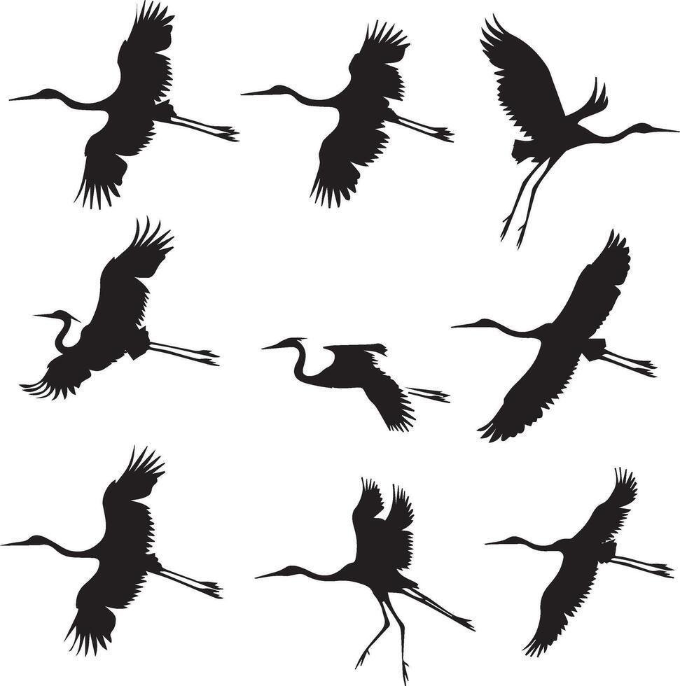 silhouettes d'oiseaux volants sur fond blanc vecteur