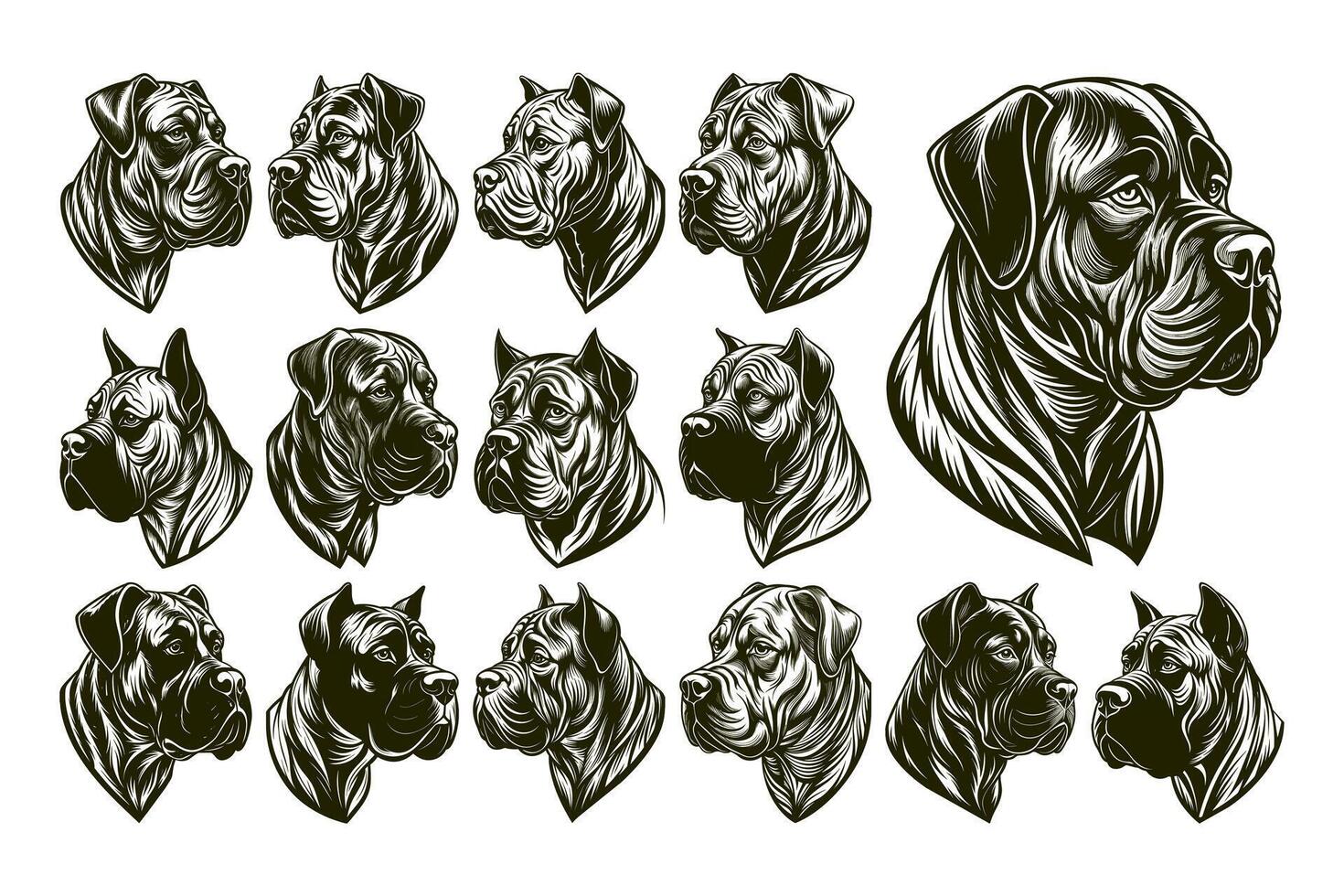 ai généré côté vue de détaillé bullmastiff chien tête illustration conception ensemble vecteur