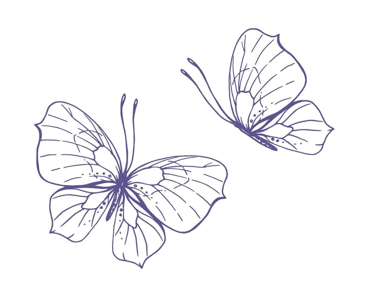 délicat papillons avec motifs sur le ailes, simple, doux, lumière, romantique. illustration graphiquement dessiné à la main dans lilas encre dans ligne style. ensemble de isolé eps vecteur objets