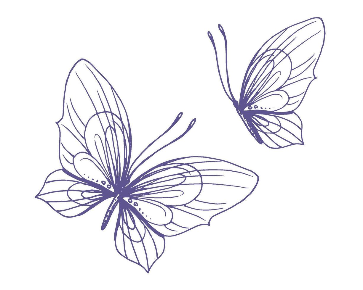 délicat papillons avec motifs sur le ailes, simple, doux, lumière, romantique. illustration graphiquement dessiné à la main dans lilas encre dans ligne style. ensemble de isolé eps vecteur objets