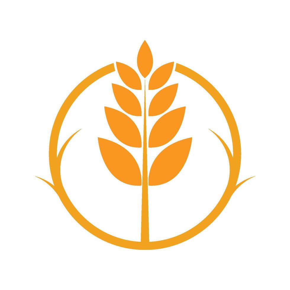 logo de blé agricole vecteur