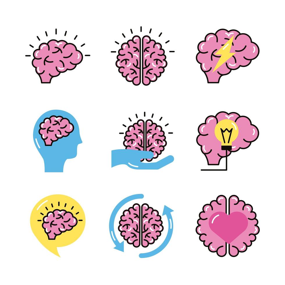 faisceau d & # 39; organes du cerveau mis en icônes vecteur