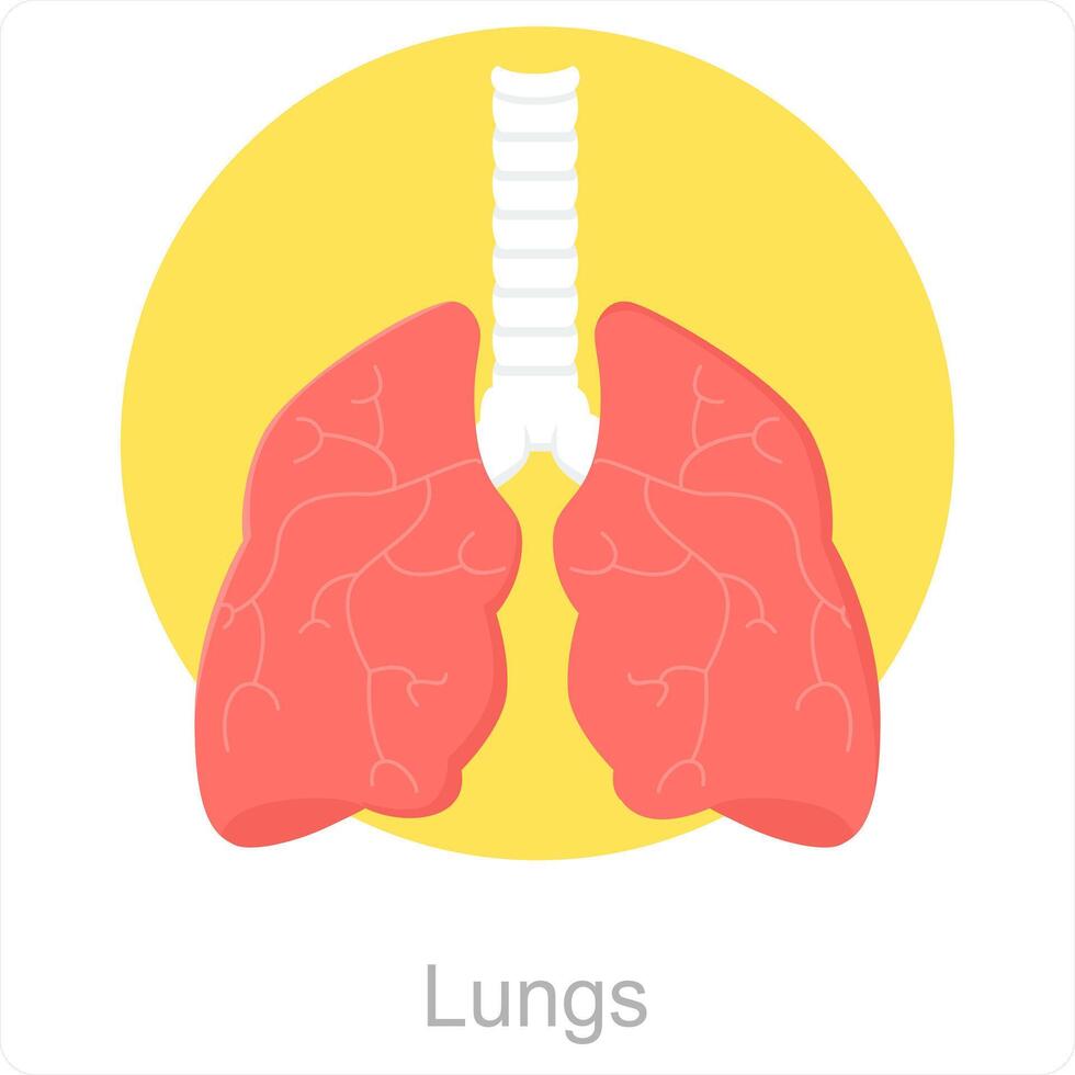 poumons et anatomie icône concept vecteur