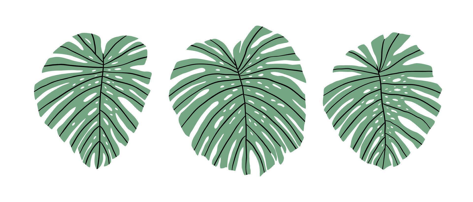 main tiré ensemble avec tropical feuilles. jungle, pluie forêt, faune. vecteur illustration dans plat style.