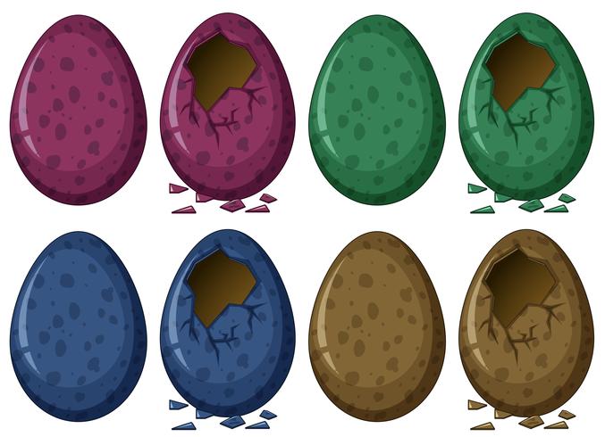 Œufs en quatre couleurs vecteur