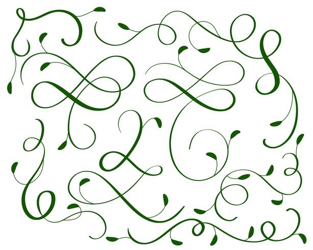 ensemble vert de spires de calligraphie vintage s&#39;épanouir art décoratif pour la conception. Illustration vectorielle EPS10 vecteur