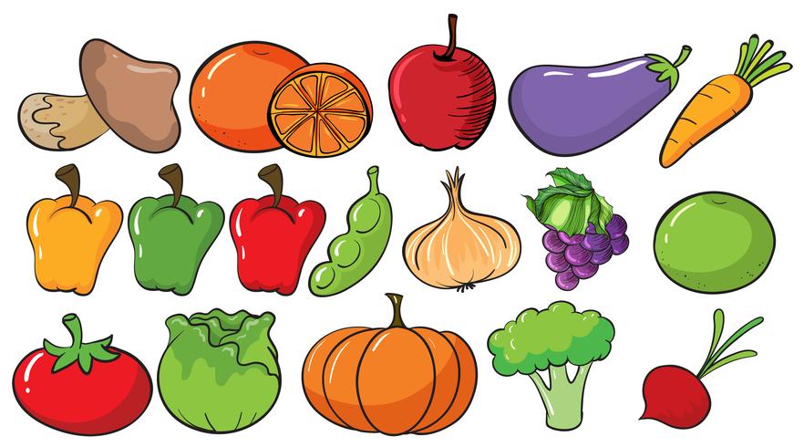 Différents types de fruits et légumes vecteur