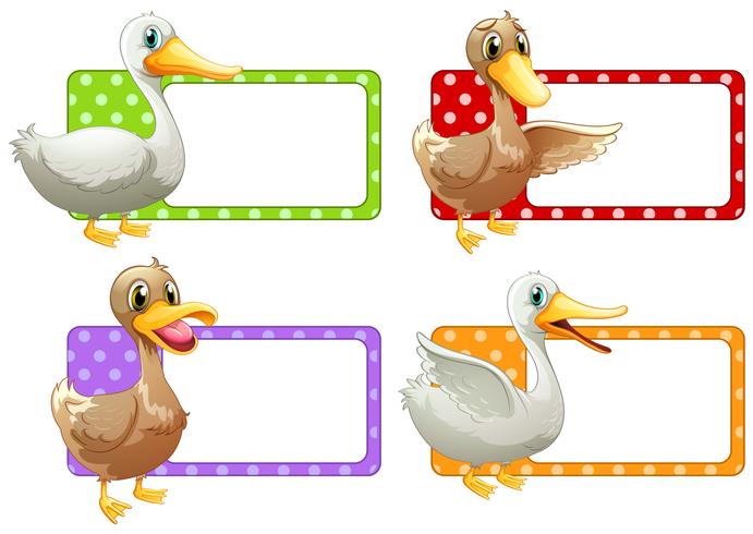 Étiquettes carrées avec des canards vecteur