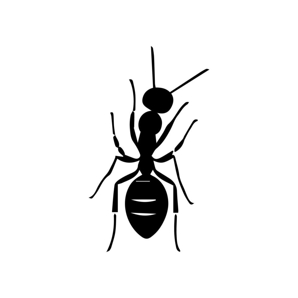 illustration avec fourmi silhouettes isolé sur blanc Contexte vecteur