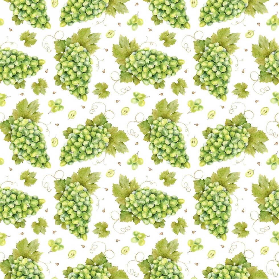 une bouquet de vert raisins, grain de raisin des os et feuilles. aquarelle sans couture modèle sur blanc Contexte. pour tissu, emballage papier, scrapbooking, produit emballage conception vecteur