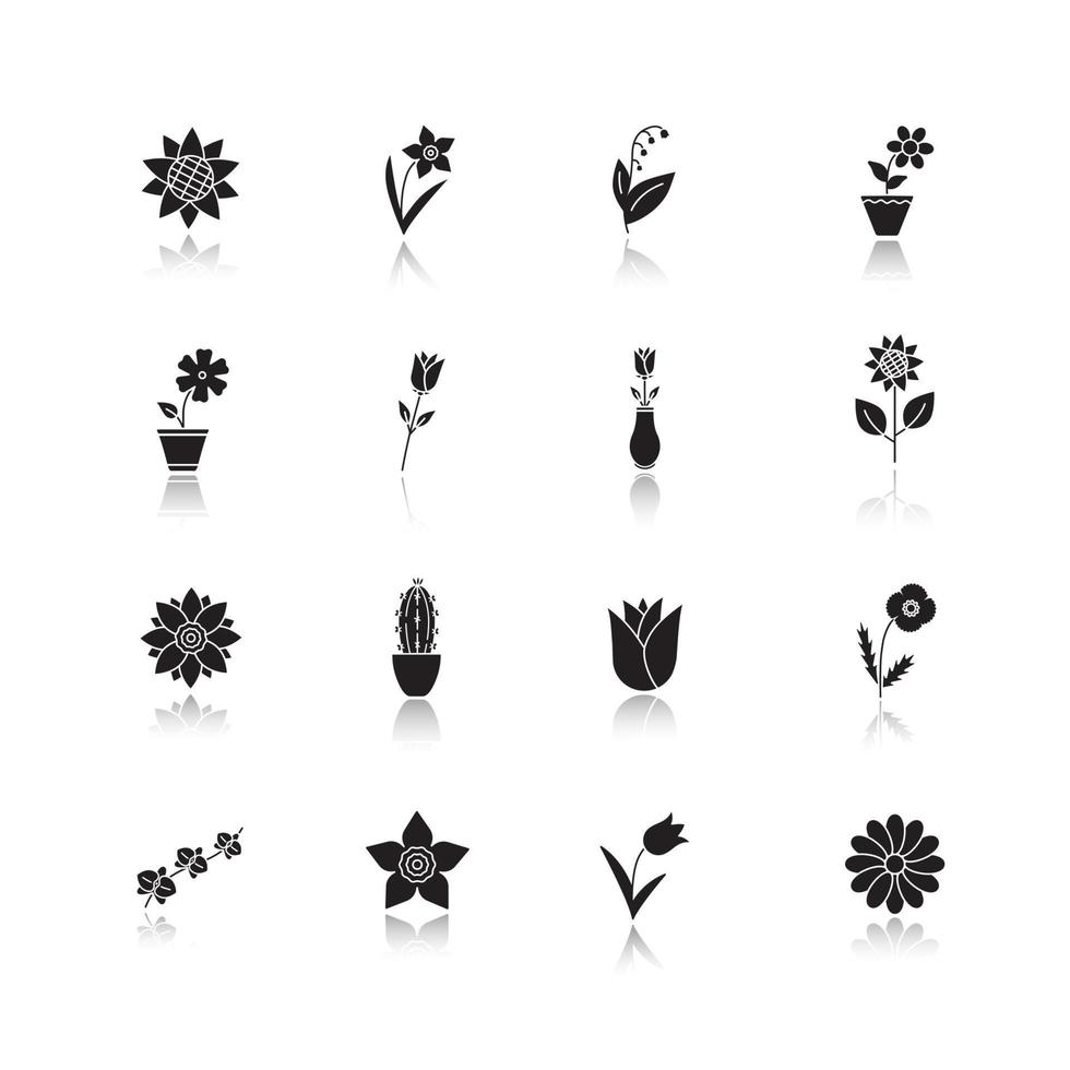 ensemble d'icônes de glyphe noir ombre portée de fleurs. jardin, sauvage, plantes d'intérieur. fleurs décoratives en fleurs. illustrations vectorielles isolées vecteur