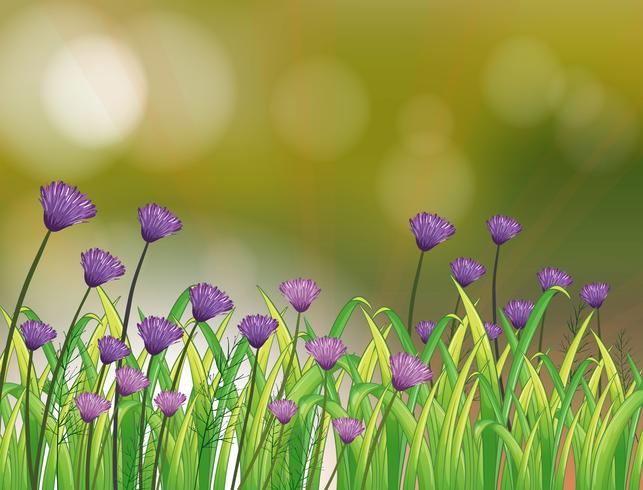 Papeterie avec un jardin de fleurs violettes vecteur