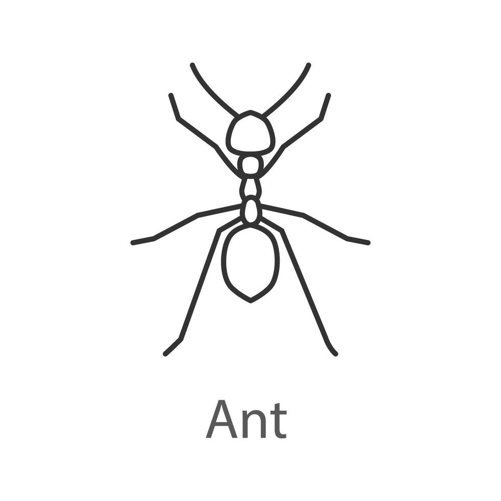 icône linéaire de fourmi. insecte. illustration de la ligne mince. symbole de contour. dessin de contour isolé de vecteur