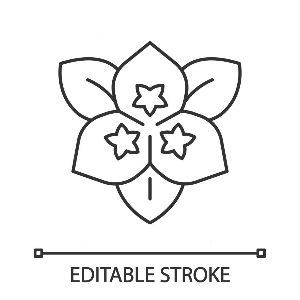 icône linéaire de fleur de bougainvillier. plante de jardin d'ornement. illustration de la ligne mince. symbole de contour. dessin de contour isolé de vecteur. trait modifiable vecteur