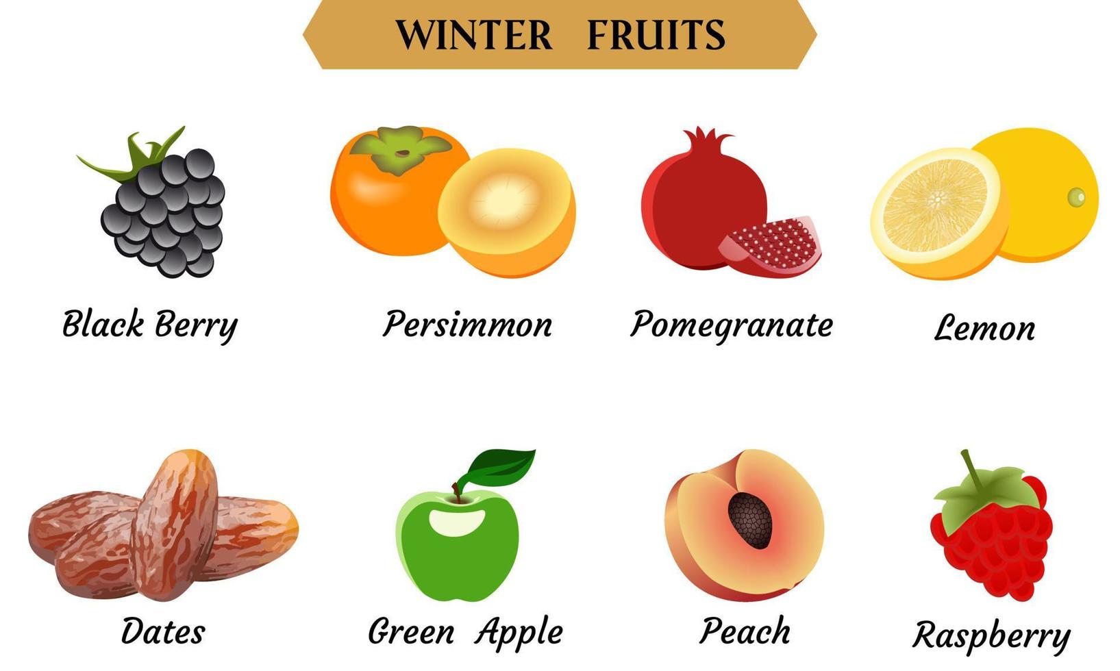 illustration vectorielle de fruits d'hiver, illustration vectorielle de fruits simples. vecteur
