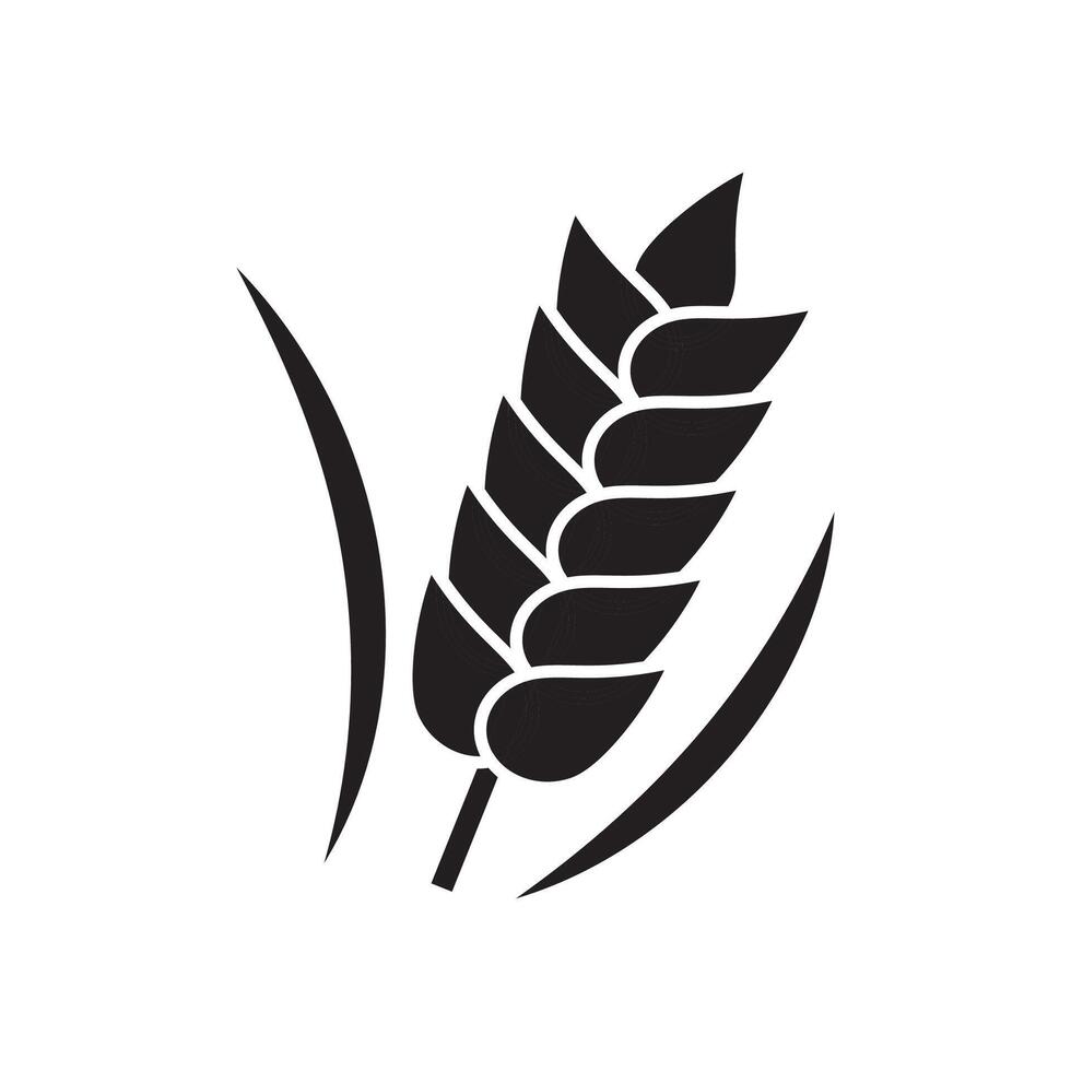 blé icône ou gluten gratuit icône. agriculture signe isolé sur blanc Contexte. vecteur