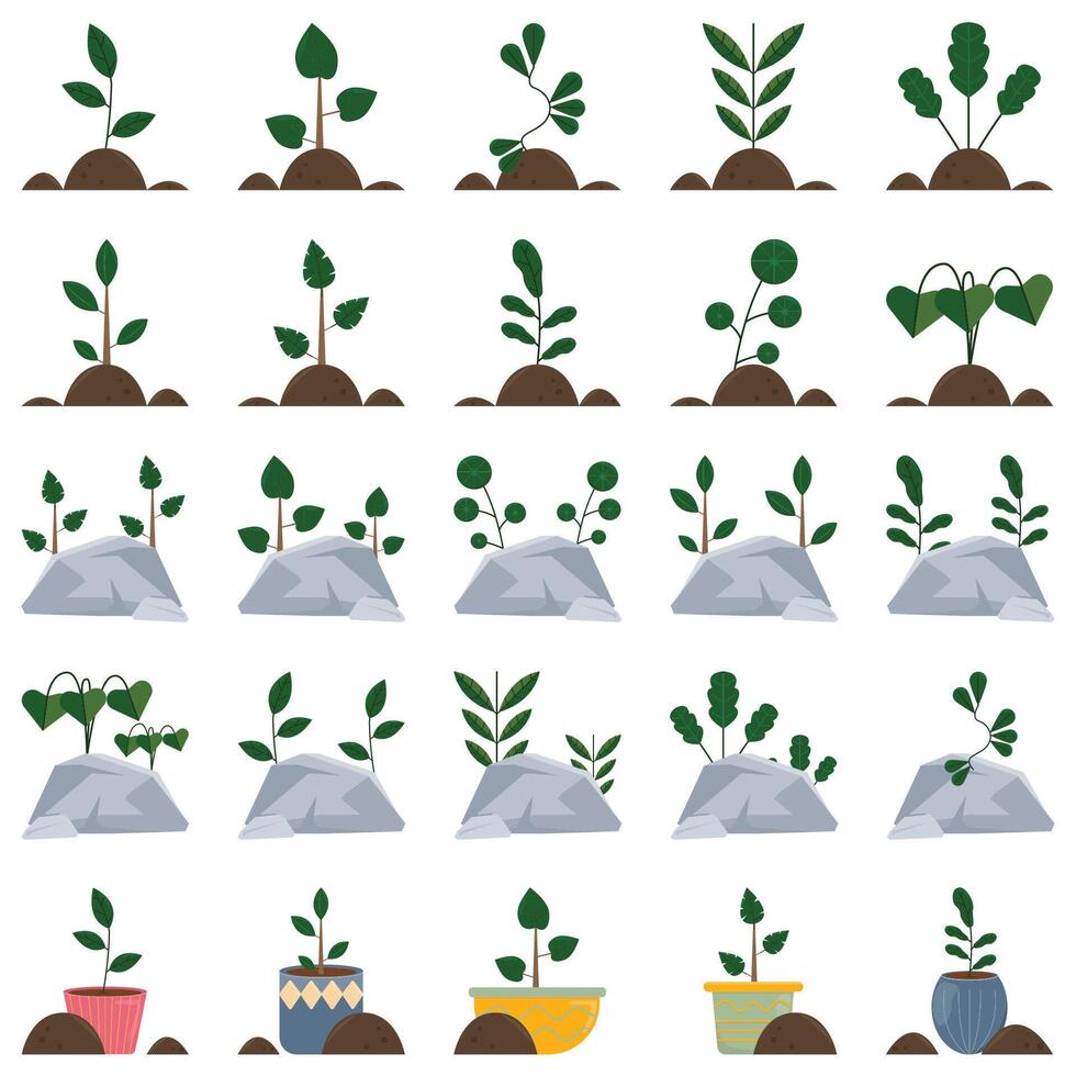 illustration de plante pack vecteur