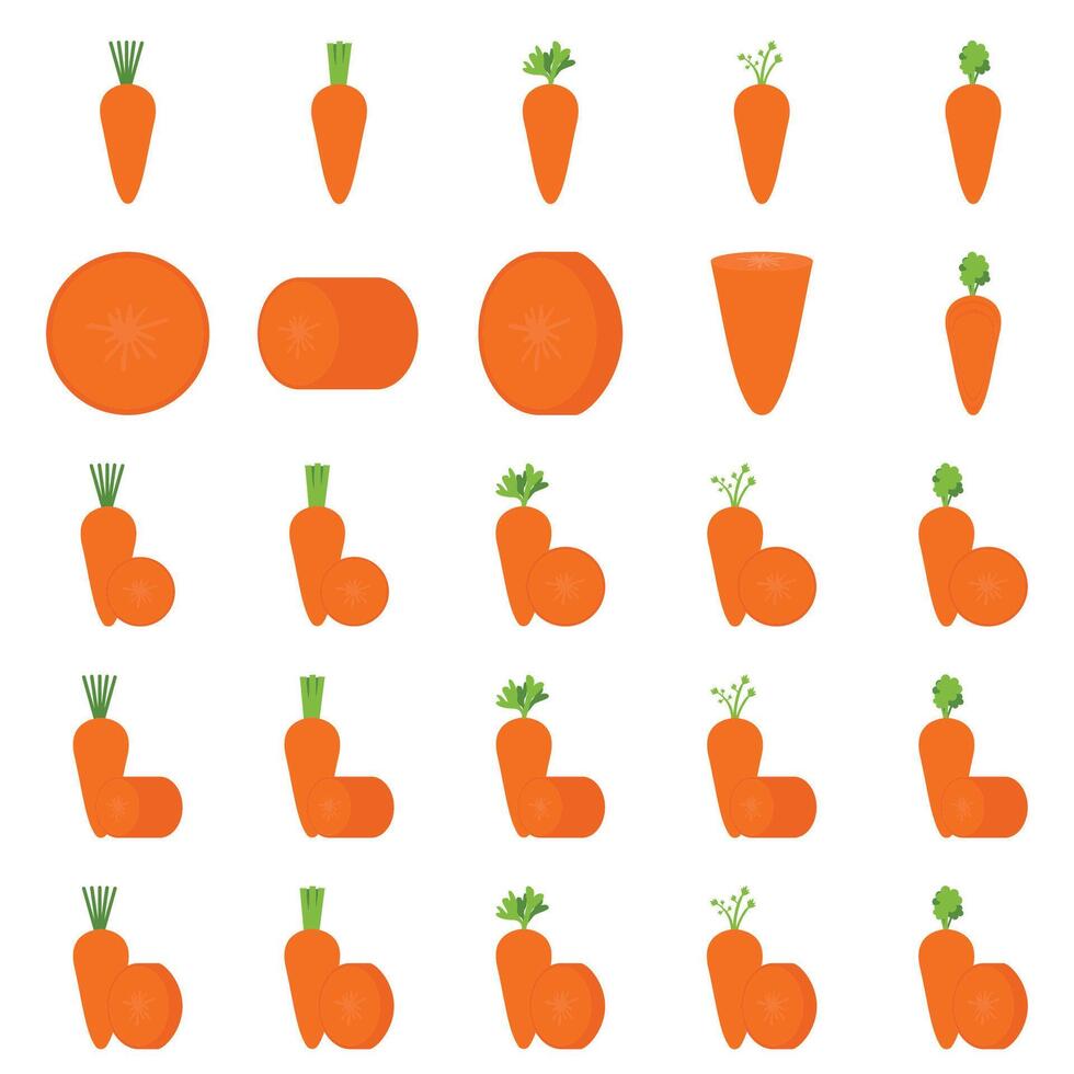 illustration de carotte pack vecteur