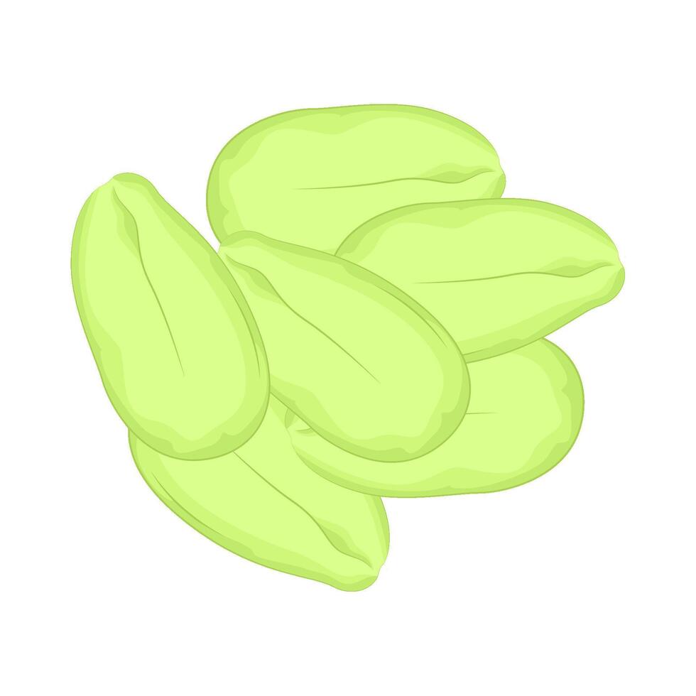 illustration de légume petai vecteur