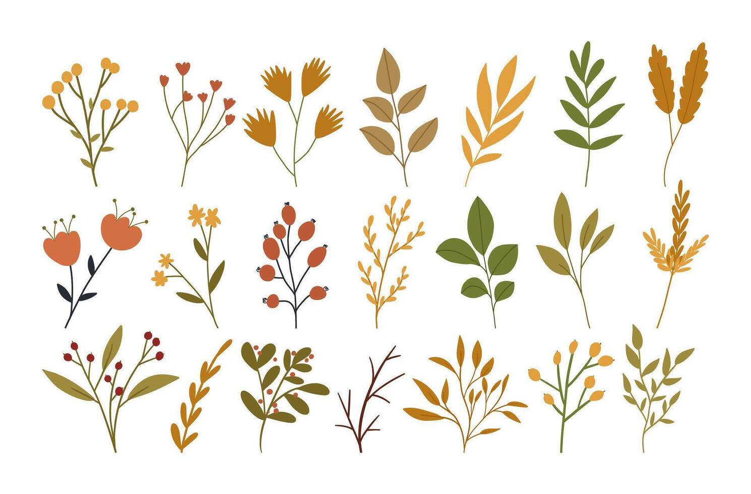 ensemble de l'automne fleurs, les plantes et baies, mignonne plat vecteur illustration isolé sur blanc Contexte. collection de main tiré tomber botanique éléments pour saisonnier conceptions.