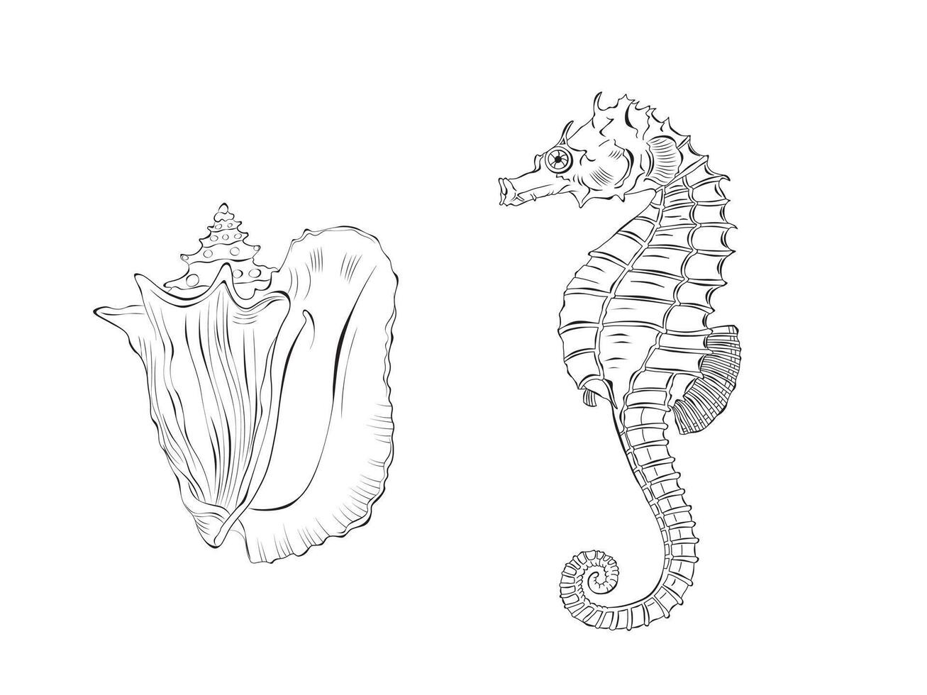 hippocampe et coquillage vecteur illustration ensemble. isolé sur blanc Contexte. griffonnage contour pour coloration livre, conception logo, tissu, fond d'écran
