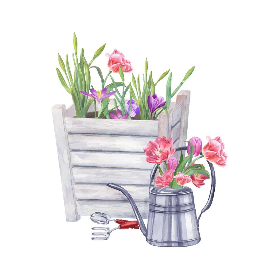 rose double tulipes, crocus, jonquilles dans jardin en bois pot et acier arrosage peut. main truelle, petit fourchette. aquarelle illustration. vecteur