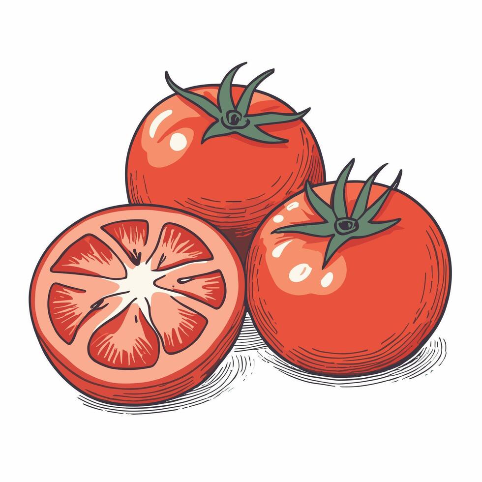 tomate agrafe art vecteur illustration