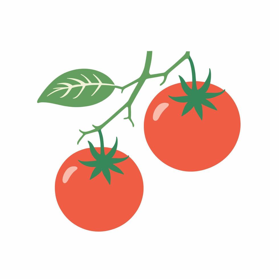 tomate agrafe art vecteur illustration