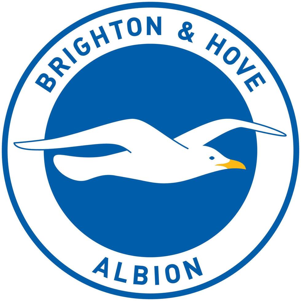 le logo de le Brighton et hove Albion Football club de le Anglais premier ligue vecteur