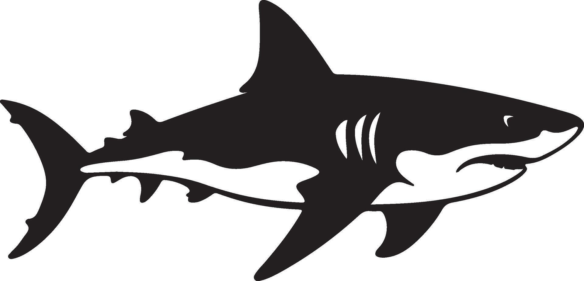 requin silhouette vecteur illustration blanc Contexte