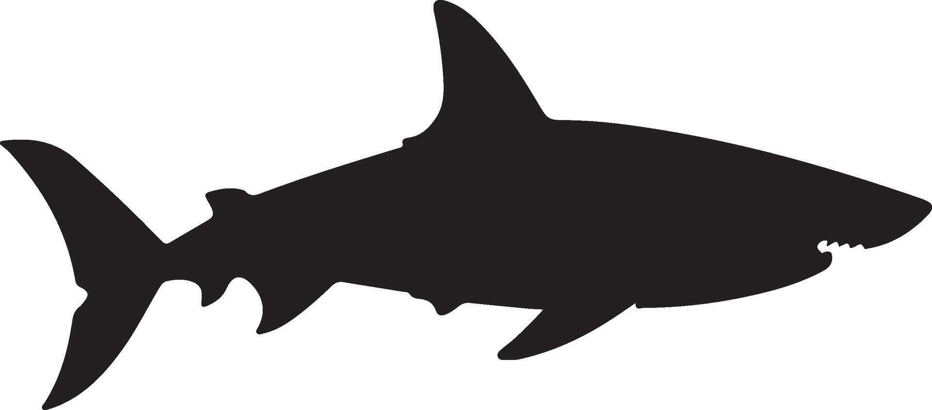 requin silhouette vecteur illustration blanc Contexte